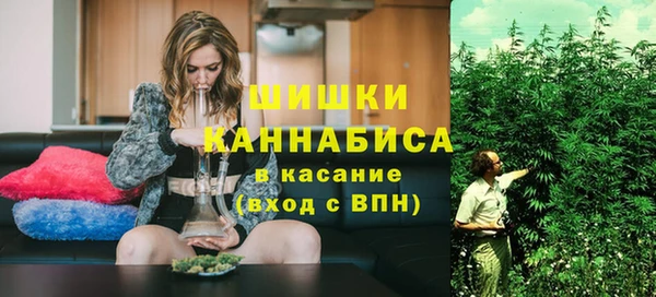 сатива Нязепетровск
