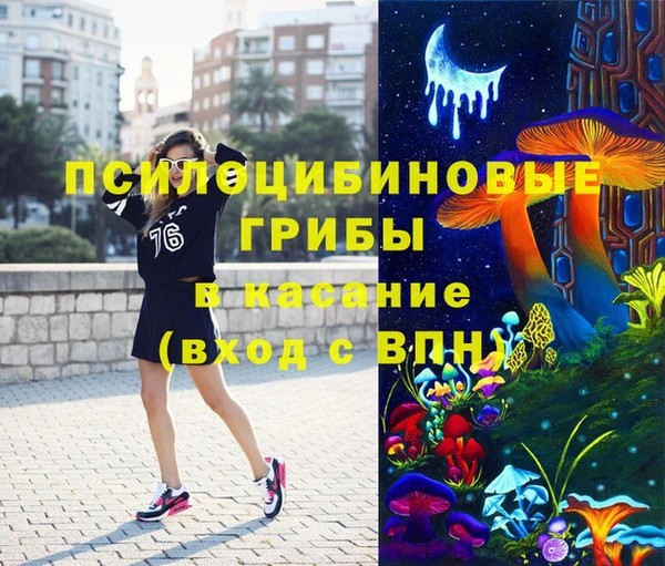 сатива Нязепетровск