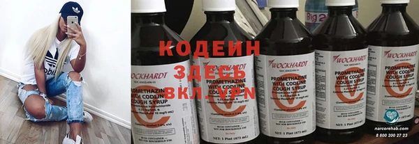 сатива Нязепетровск