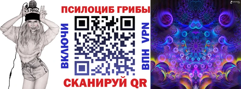 Галлюциногенные грибы Magic Shrooms  где продают наркотики  Отрадное 