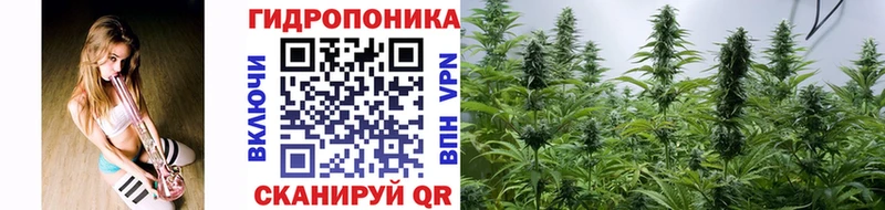 наркошоп Отрадное Шишки марихуана Ganja